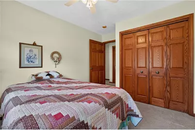341 W Cedar Street, Jefferson, OH 44047 - Photo 39