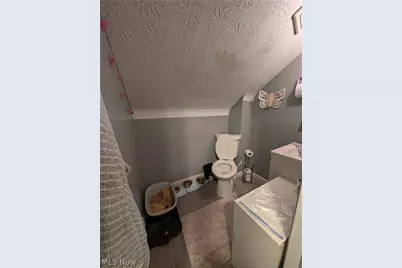 15321 Ridpath Avenue, Loveland, OH 44110 - Photo 19
