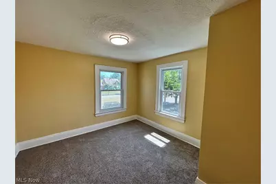 3918 Martin Luther King Jr Drive, Loveland, OH 44105 - Photo 19