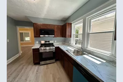 3918 Martin Luther King Jr Drive, Loveland, OH 44105 - Photo 9
