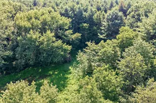 37933 Longs Crossing Rd, Leetonia, OH 44431 - Photo 25