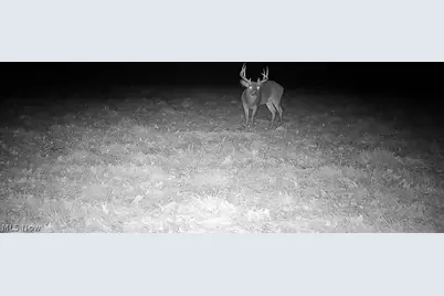 Township Road 427, Coshocton, OH 43812 - Photo 43