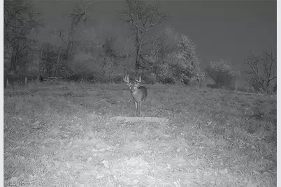 Township Road 427, Coshocton, OH 43812 - Photo 45
