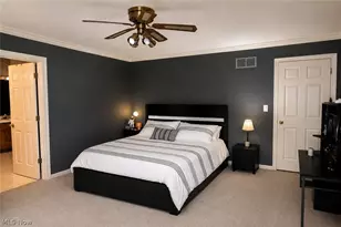 136 Jade Cir, Canfield, OH 44406 - Photo 9