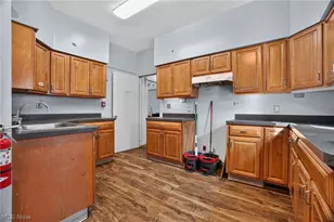 225 Mentor Ave, Painesville, OH 44077 - Photo 7
