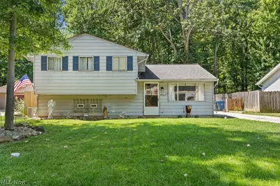 5220 Olive Avenue, North Ridgeville, OH 44039 - Photo 1