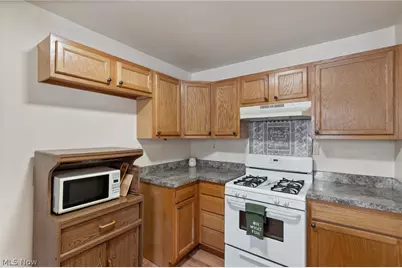 223 Hawk Avenue, Akron, OH 44312 - Photo 9