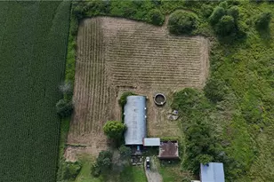 8725 State Route 7, Williamsfield, OH 44093 - Photo 11