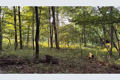 Co. Rd. 2575, Loudonville, OH 44842 - Photo 25