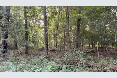 Co. Rd. 2575, Loudonville, OH 44842 - Photo 19
