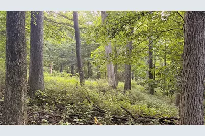 Co. Rd. 2575, Loudonville, OH 44842 - Photo 17