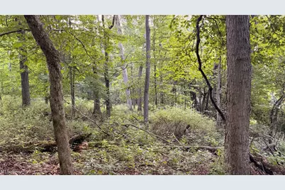 Co. Rd. 2575, Loudonville, OH 44842 - Photo 15