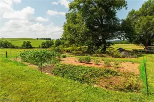 5642 County Rd 59, Millersburg, OH 44654 - Photo 7
