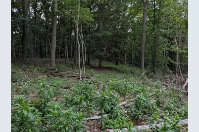 35401 Moore Road, Logan, OH 43138 - Photo 11