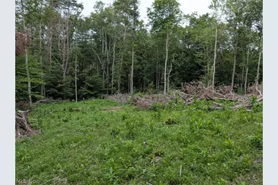 35401 Moore Road, Logan, OH 43138 - Photo 9