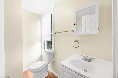 1366 W 87th Street, Loveland, OH 44102 - Photo 11