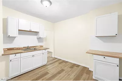 1366 W 87th Street, Loveland, OH 44102 - Photo 13
