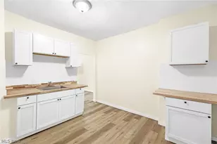 1366 W 87th St, Loveland, OH 44102 - Photo 13
