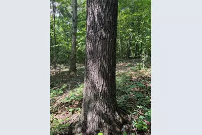 35106 State Route 78, Lewisville, OH 43754 - Photo 29