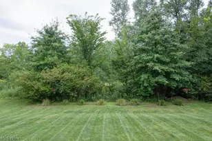 167 Park View Ct, Peninsula, OH 44264 - Photo 39