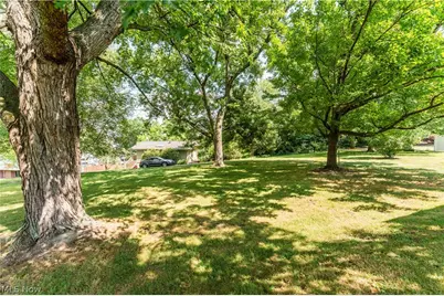 347 Bahlor St SW, Sugarcreek, OH 44681 - Photo 39