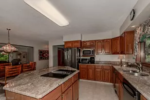 9731 Riverwood Ln, Auburn, OH 44023 - Photo 11