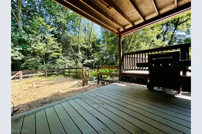 1572 Wall Road, Wadsworth, OH 44281 - Photo 37