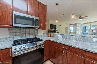 701 W Lakeside Avenue #602, Loveland, OH 44113 - Photo 5