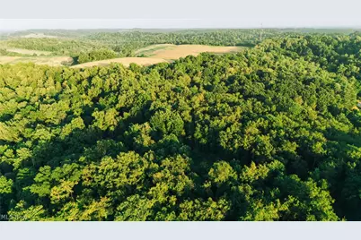 1965 Hall Drive, Coshocton, OH 43812 - Photo 29