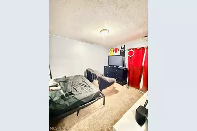 11808 Leeila Avenue, Loveland, OH 44135 - Photo 15