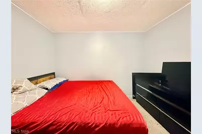 11808 Leeila Avenue, Loveland, OH 44135 - Photo 11