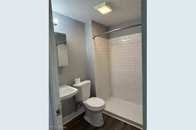 799 E 103rd Street, Loveland, OH 44108 - Photo 9