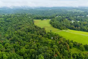 50925 Windy Hill Rd, Jacobsburg, OH 43933 - Photo 43