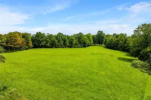 43238 Sugartree-Cranesnest Rd, Woodsfield, OH 43793 - Photo 43