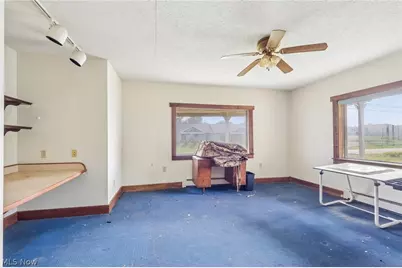 8741 Youngstown Pittsburgh Road, Poland, OH 44514 - Photo 9