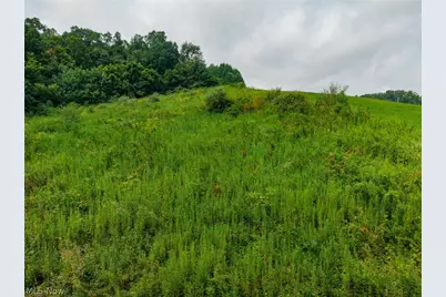40977 Township Road 64B, Dresden, OH 43821 - Photo 37