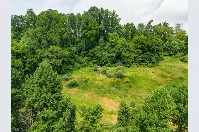 40977 Township Road 64B, Dresden, OH 43821 - Photo 11