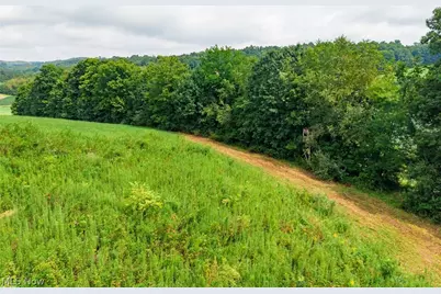 40977 Township Road 64B, Dresden, OH 43821 - Photo 19