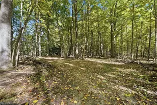 18985 State Route 58, Wellington, OH 44090 - Photo 45