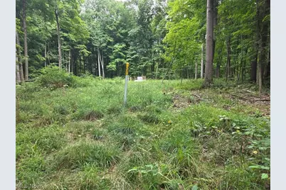 18985 State Route 58, Wellington, OH 44090 - Photo 35