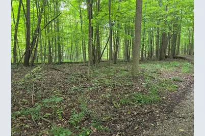 18985 State Route 58, Wellington, OH 44090 - Photo 33