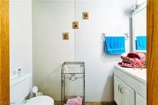 1152 Township 162 Rd, Mingo Junction, OH 43938 - Photo 19