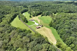 48800 Foxes Bottom Rd, Cadiz, OH 43907 - Photo 3
