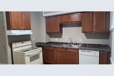 244 Arch Street, Akron, OH 44304 - Photo 5