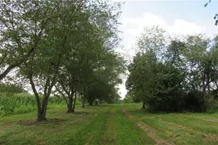 10295 Youngstown - Salem Rd, Salem, OH 44460 - Photo 13
