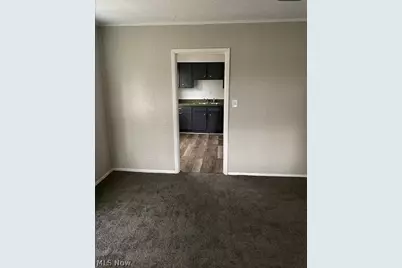 3807 E 114th Street, Loveland, OH 44105 - Photo 7
