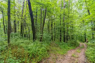 17881 Horseshoe Bend Rd E, Newcomerstown, OH 43832 - Photo 29