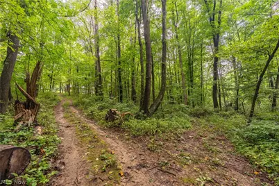 17881 Horseshoe Bend Road E, Newcomerstown, OH 43832 - Photo 31