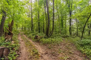 17881 Horseshoe Bend Rd E, Newcomerstown, OH 43832 - Photo 31