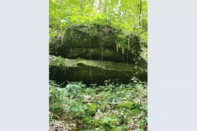 17881 Horseshoe Bend Road E, Newcomerstown, OH 43832 - Photo 43